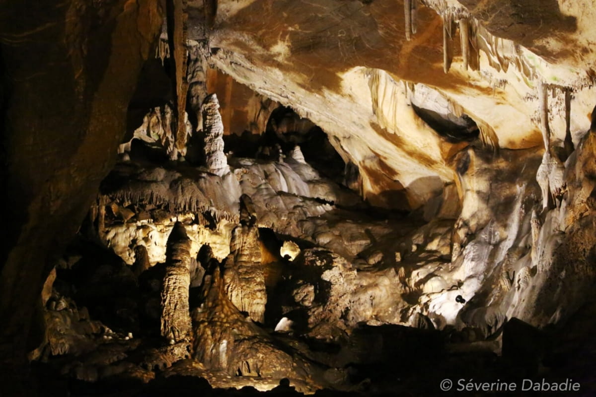 Ancient DNA shows Ice Age Europeans stayed connected across long distances