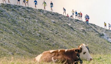 Sports technology is a significant contributor to the Swiss economy
