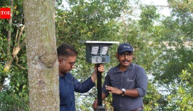 10 women among 33 volunteers trained to manage human-tiger interactions in Sundarbans | Kolkata News