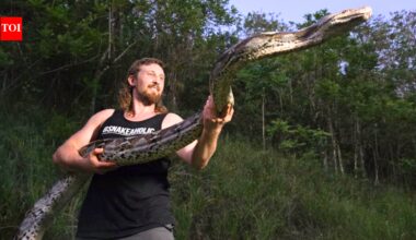 Florida python hunter captures 18-foot invasive python in Puerto Rico after it strangled a pet cat, setting a local live-capture record | World News