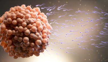 Amyloid fibers help sperm deliver RNA to mouse embryos