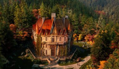 Laika’s ‘Wildwood’ Comes in Third Nationally but Sells Out in Portland Indie Theaters