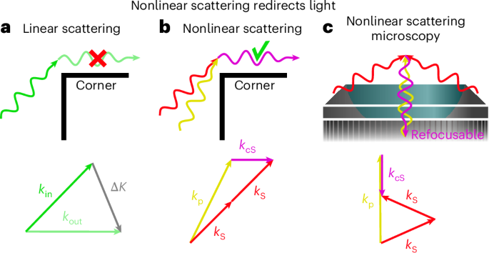 Intrinsic backward emission of coherent Raman photons from homogeneous media