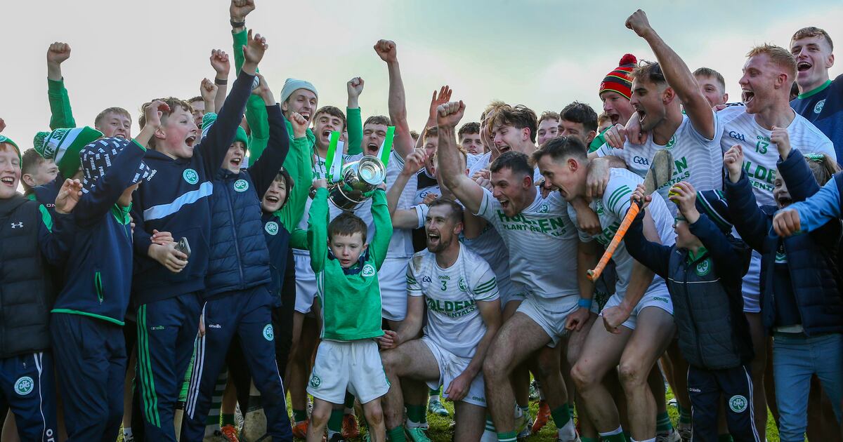 Live GAA County finals: Kilmallock take Limerick thriller; Wins for Ballyhale, Dr Crokes and Nemo Rangers – The Irish Times