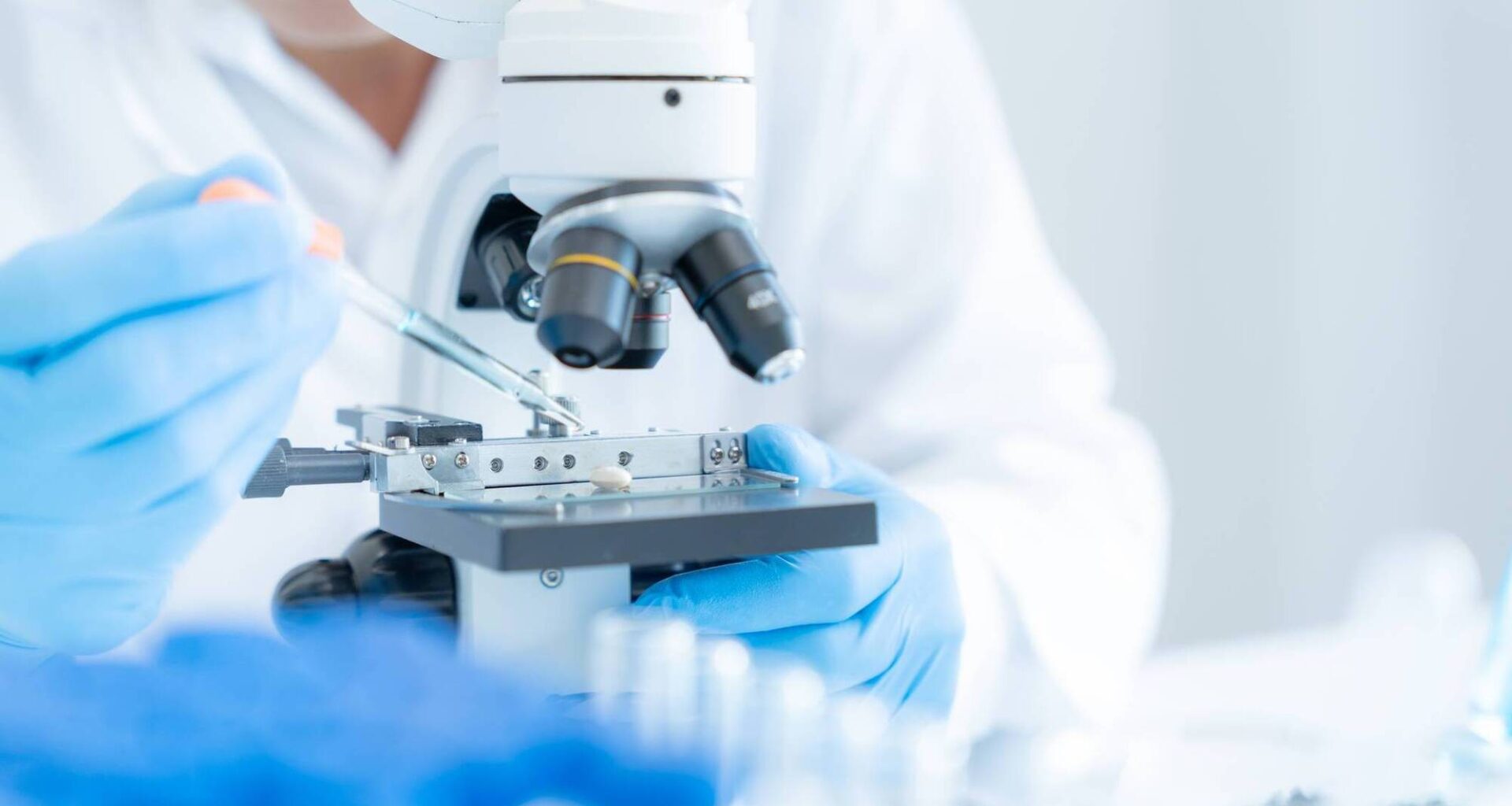 Shamonda virus was detected in a patient who died in early October, French authorities have said. Picture: iStock