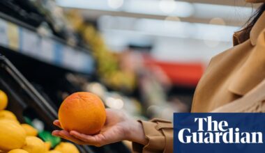 Electricity, insurance and eggs: see how life in Australia has got more expensive | Cost-of-living crisis