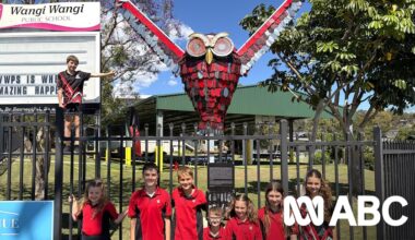 Meet Yaajin, Lake Macquarie's new, giant owl sculpture