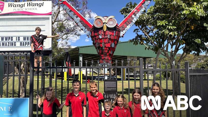 Meet Yaajin, Lake Macquarie's new, giant owl sculpture