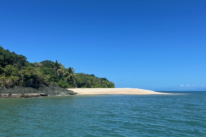 Photo of a tropical island beach on a cloudless day.