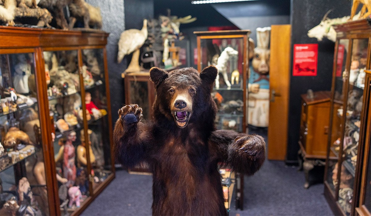 Museum 10