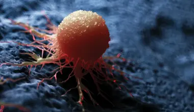 How zombie cancer cells evade chemotherapy’s effects