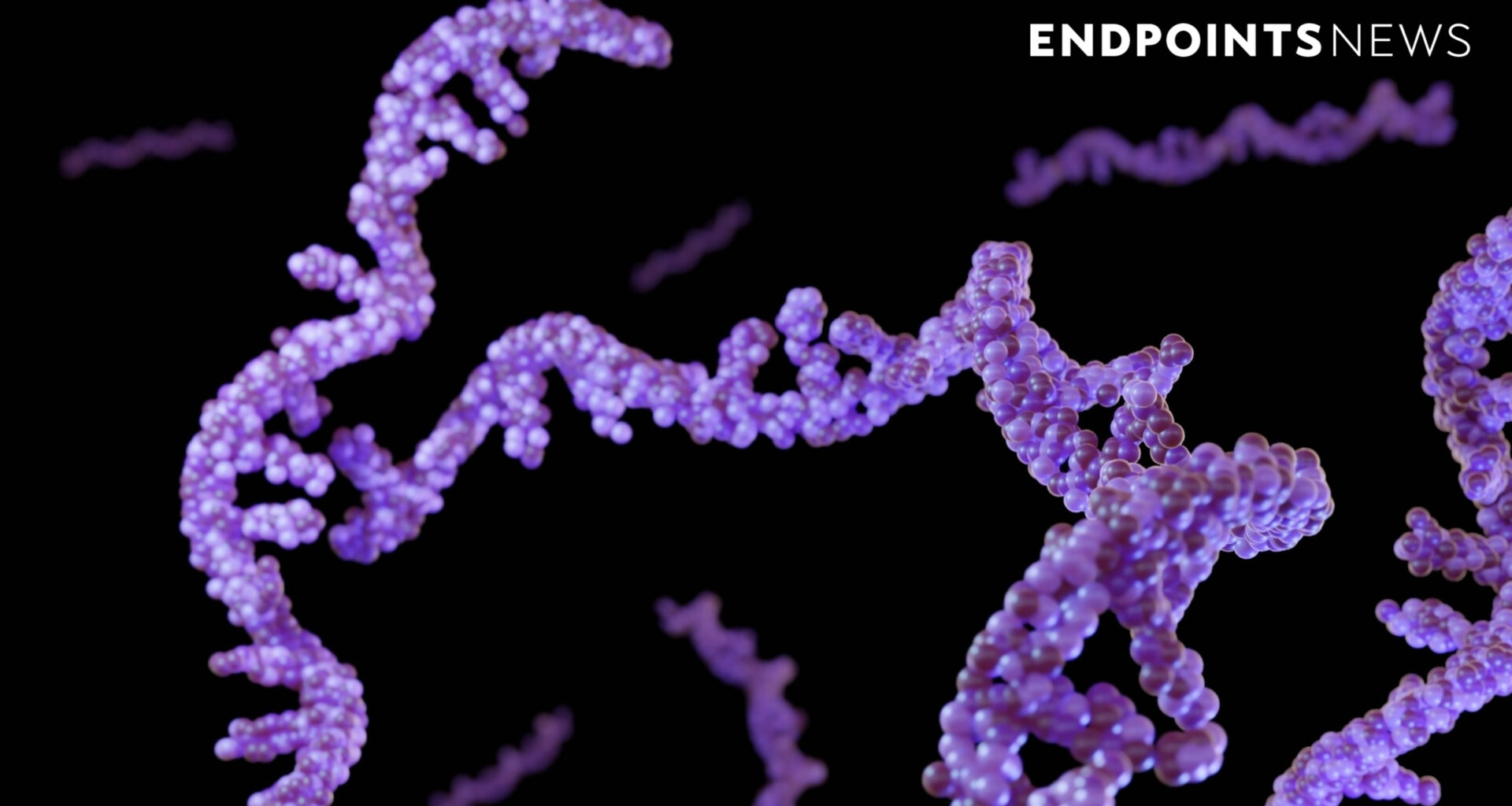 China biotech RiboX reveals first data of circular RNA therapies in people