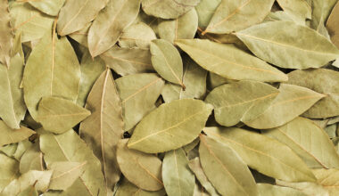 Putting a bay leaf under your pillow: what it's for and why so many people do it