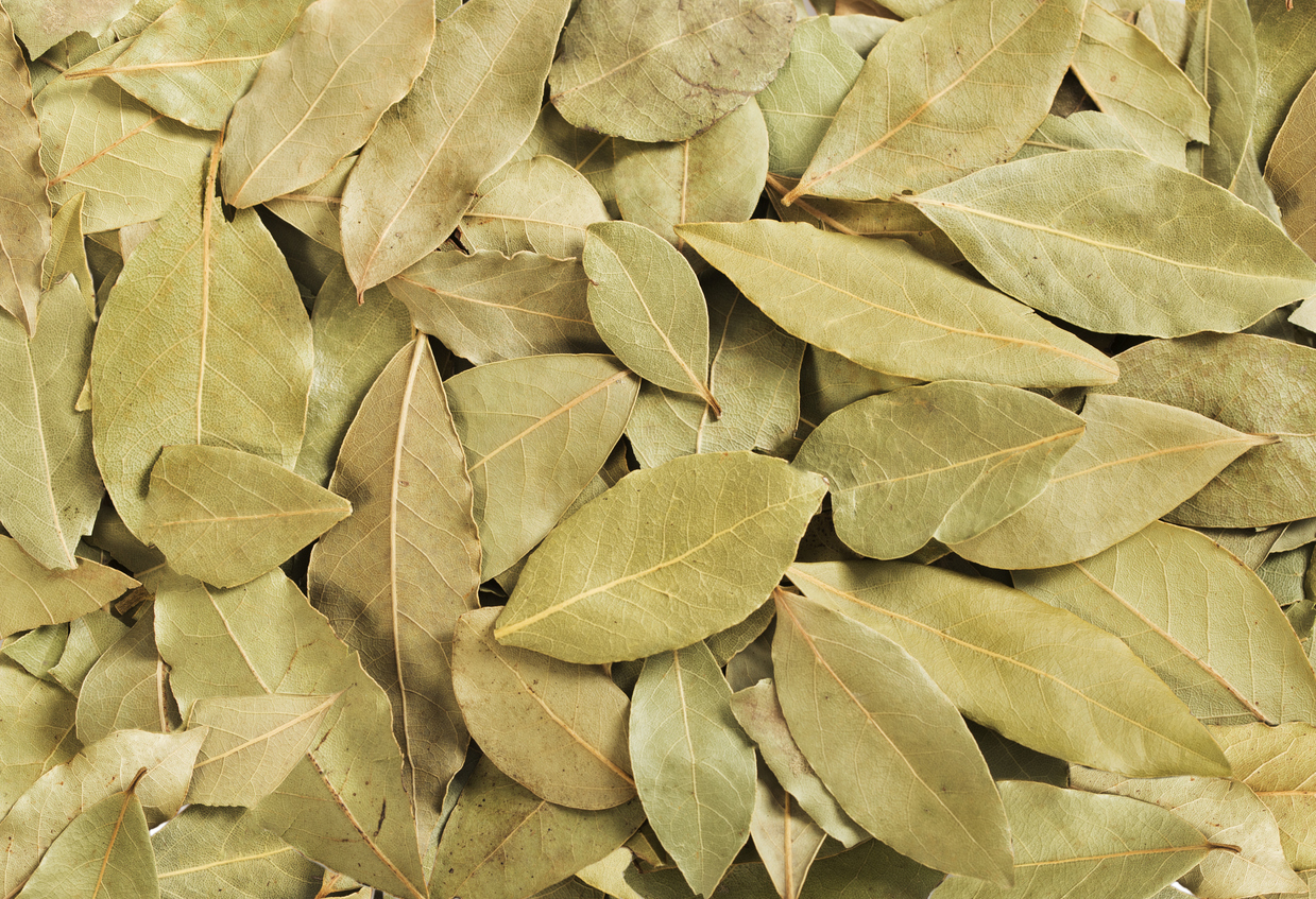 Putting a bay leaf under your pillow: what it's for and why so many people do it