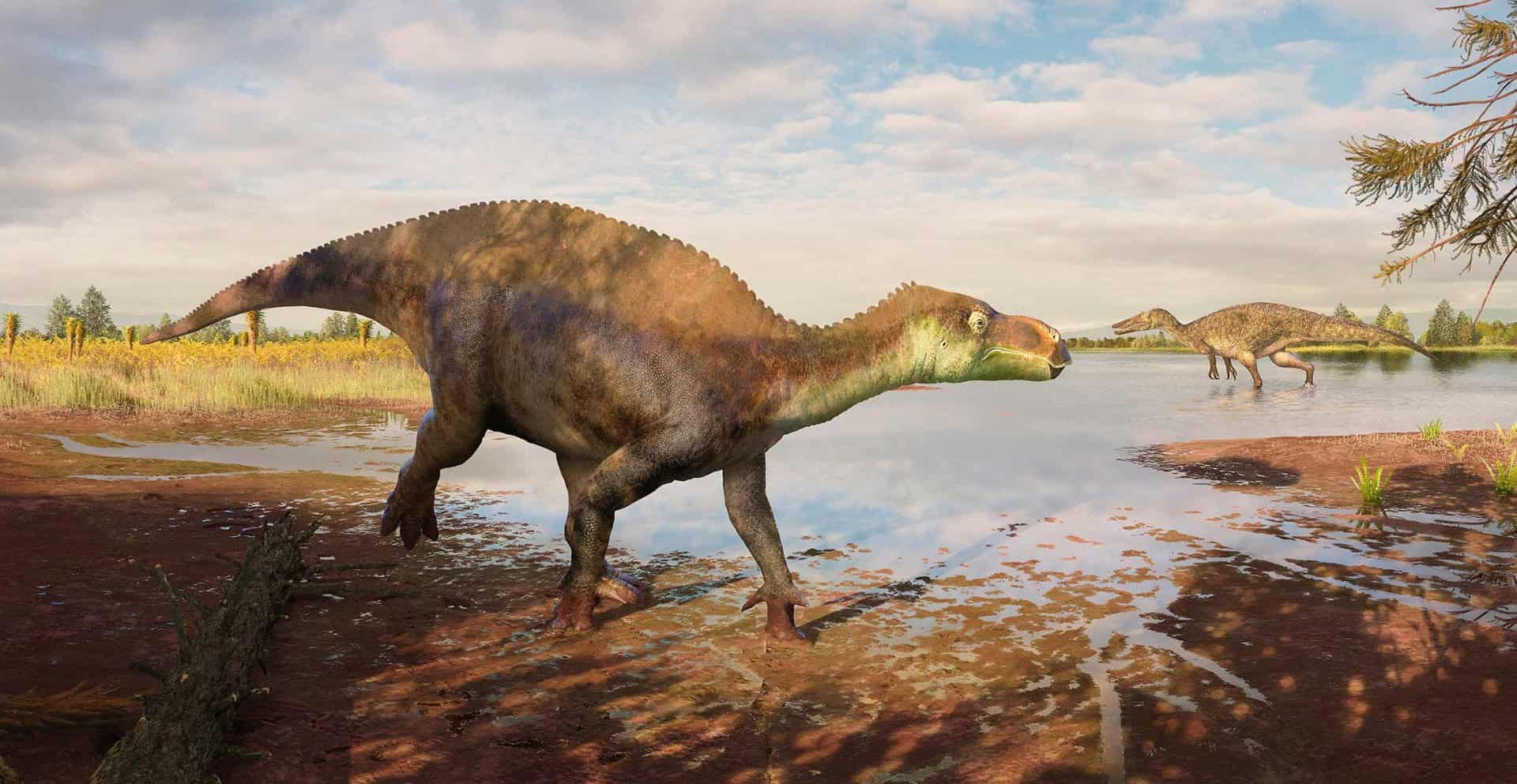 Scientists Discover a New Dinosaur That Was "Hiding" in a London Museum for 25 Years
