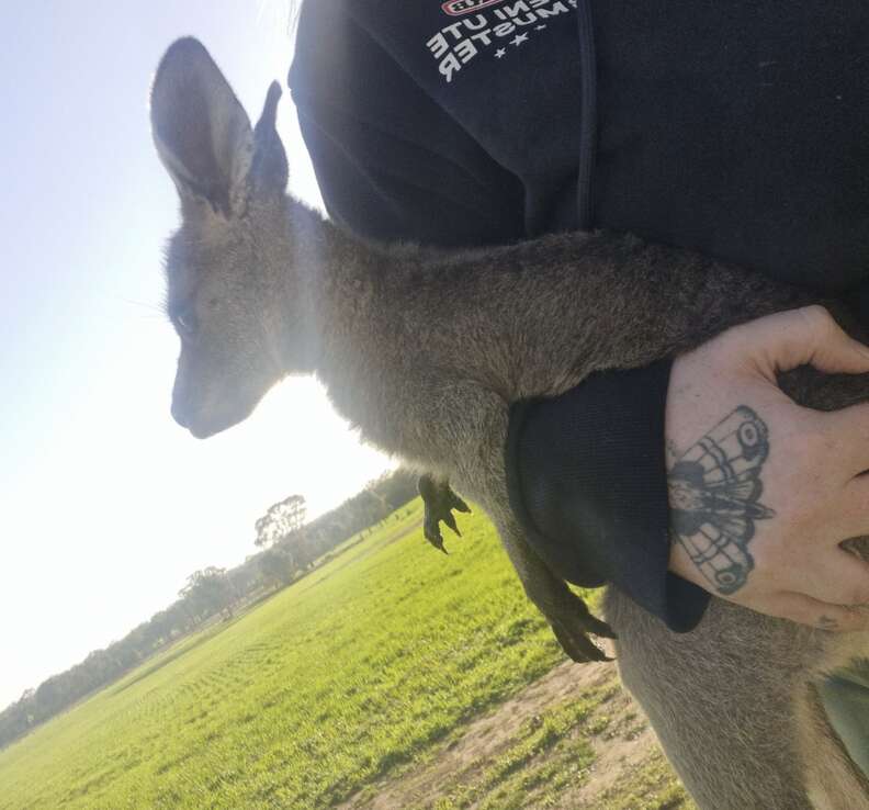 woman holding kangaroo 