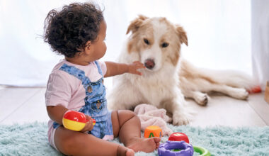 Dogs and Babies Have a Lot More in Common Than You Think, New Study Shows · Kinship