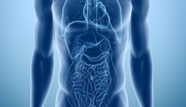 Treating Relapsed/Refractory Diffuse Large B-Cell Lymphoma: Current Options and Emerging Approaches