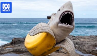 Sculpture by the Sea could be cancelled due to $200,000 shortfall