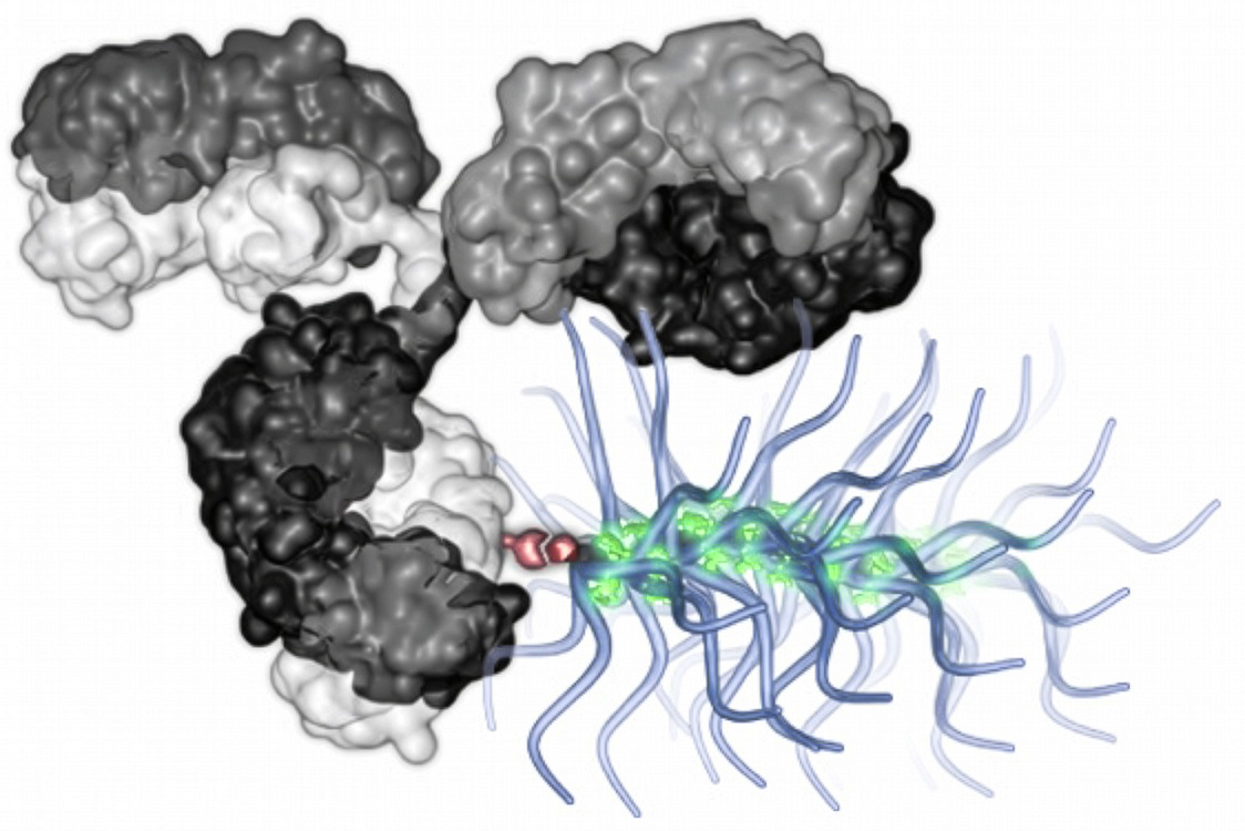 “Bottlebrush” particles deliver big chemotherapy payloads directly to cancer cells | MIT News