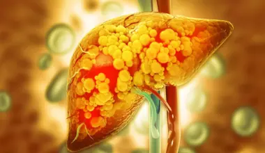 Scientists finally reveal the hidden mechanism linking alcohol to fatty liver