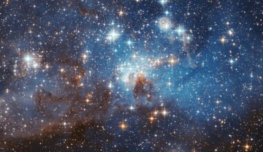 LH 95 stellar nursery in the Large Magellanic Cloud (Credit : NASA, ESA, and the Hubble Heritage Team)