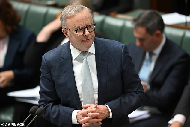 In 1987, less than two per cent of Australians voted for third parties. At the last election, it was one in three voters. (Prime Minister Anthony Albanese is pictured)