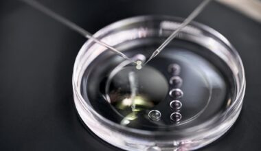 Skin cells can now be used to fertilize eggs