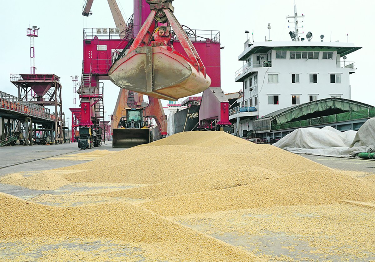 Soybeans are unloaded onto a concrete dock at a port in China.