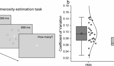 Stronger reliance on visual perceptual history in individuals with higher math anxiety | BMC Biology