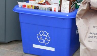 Recycling setback feared as Ontario excludes businesses from blue box program