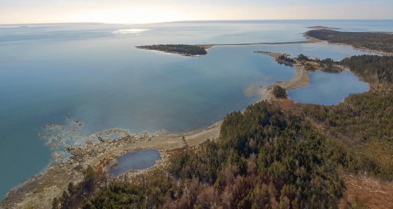 Water and land of a whale sanctuary in nova scotia