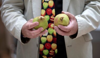 The fall fruit that’s great in a salad and packs a major fiber punch