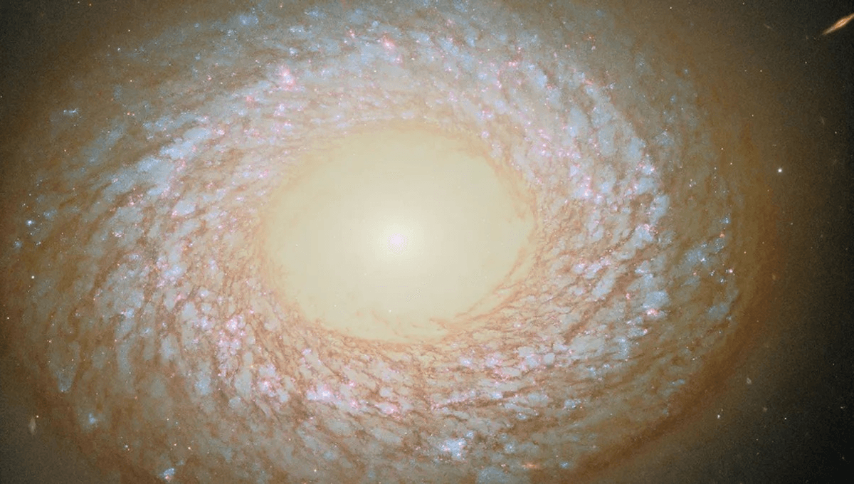 NGC 2775: This Galaxy Breaks The Rules Of “Galactic Evolution” And Baffles Astronomers