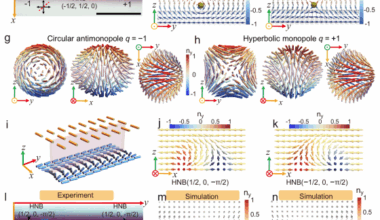 Monopole-mediated light control of half skyrmion topology in nematic liquid crystals