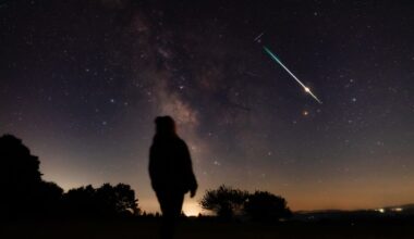 Why You Should Leave The City This Week As Aurora, Meteors And Comets Peak