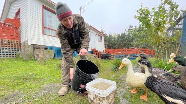 Extreme drought conditions leave N.L. homesteader adapting to a lower water supply