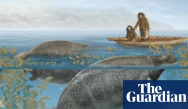 Beasts of the Sea: the tragic story of how the ‘gentle, lovable’ sea cow became the perfect victim | Environment