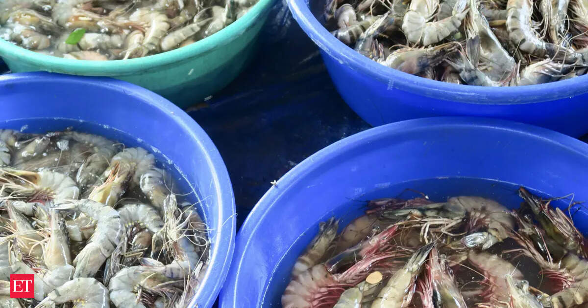 After 8-year freeze, Andhra's prawns return to Australia