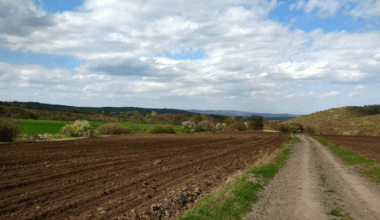 Bulgarian Land Market Report | Nieuwsbericht