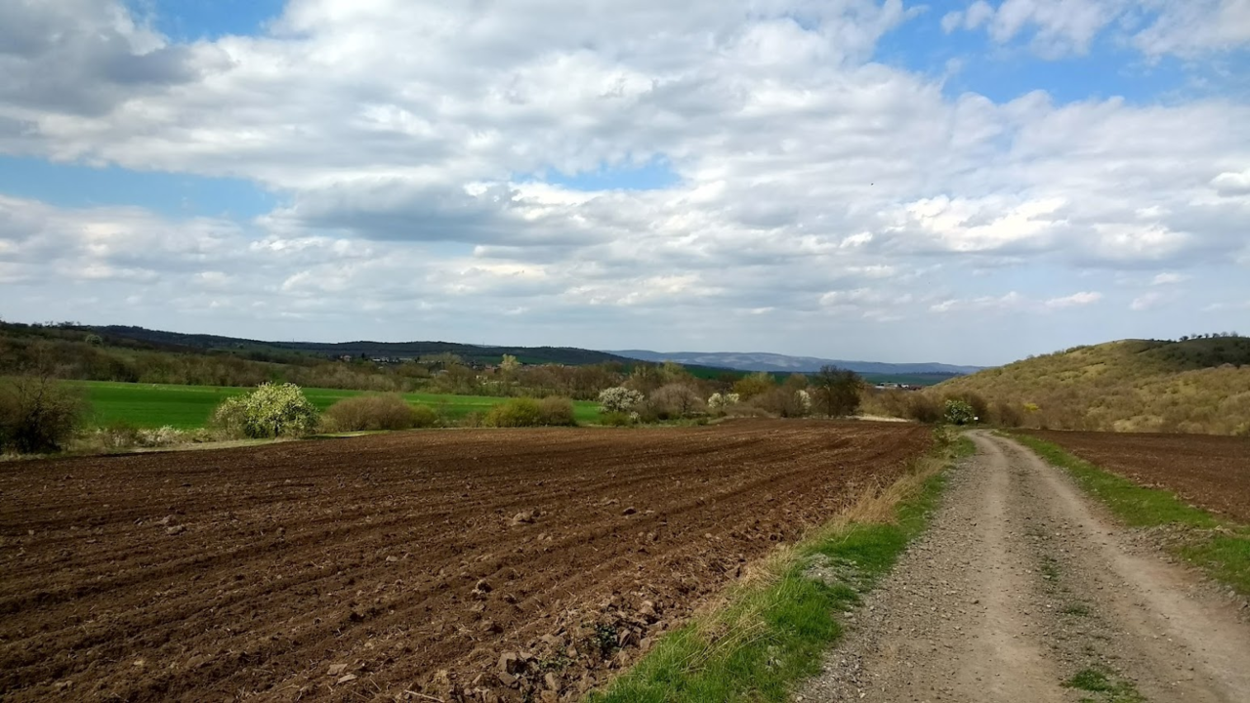 Bulgarian Land Market Report | Nieuwsbericht