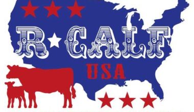 Has the Beef Market Failed? – KCSR / KBPY