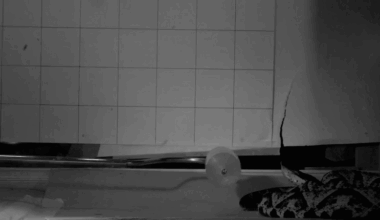 a snake strike in slow motion