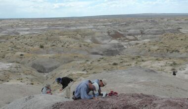 Science breakthrough as experts find remains of last surviving dinosaurs thriving before asteroid strike