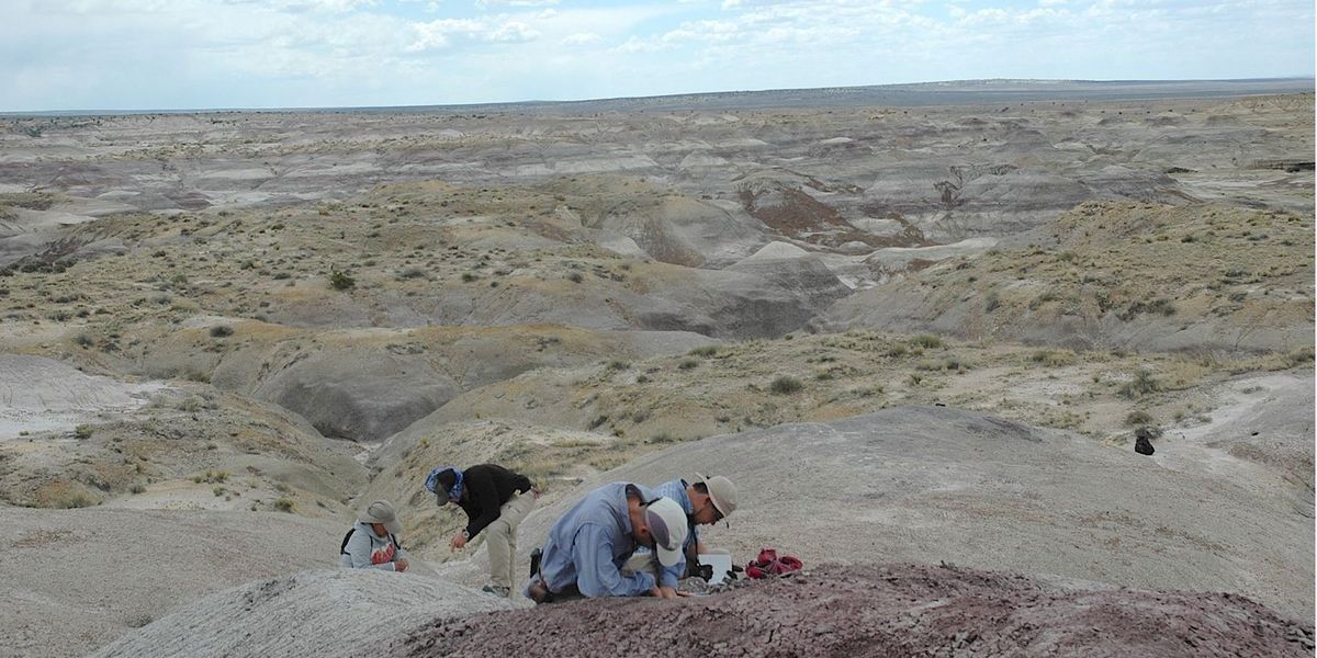 Science breakthrough as experts find remains of last surviving dinosaurs thriving before asteroid strike