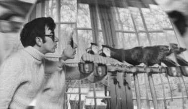 5 Outstanding Artworks Under $10,000 at Artissima 2025