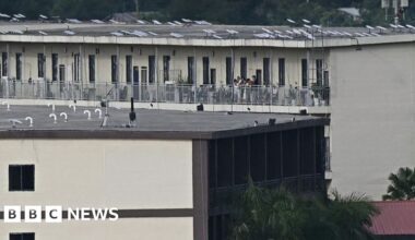 SpaceX says it has cut Starlink services to Myanmar scam camps