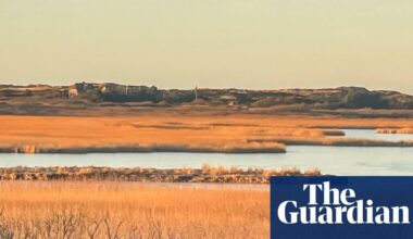 ‘A punch in the face’: Germany’s dash for gas raises questions over climate targets | Fossil fuels