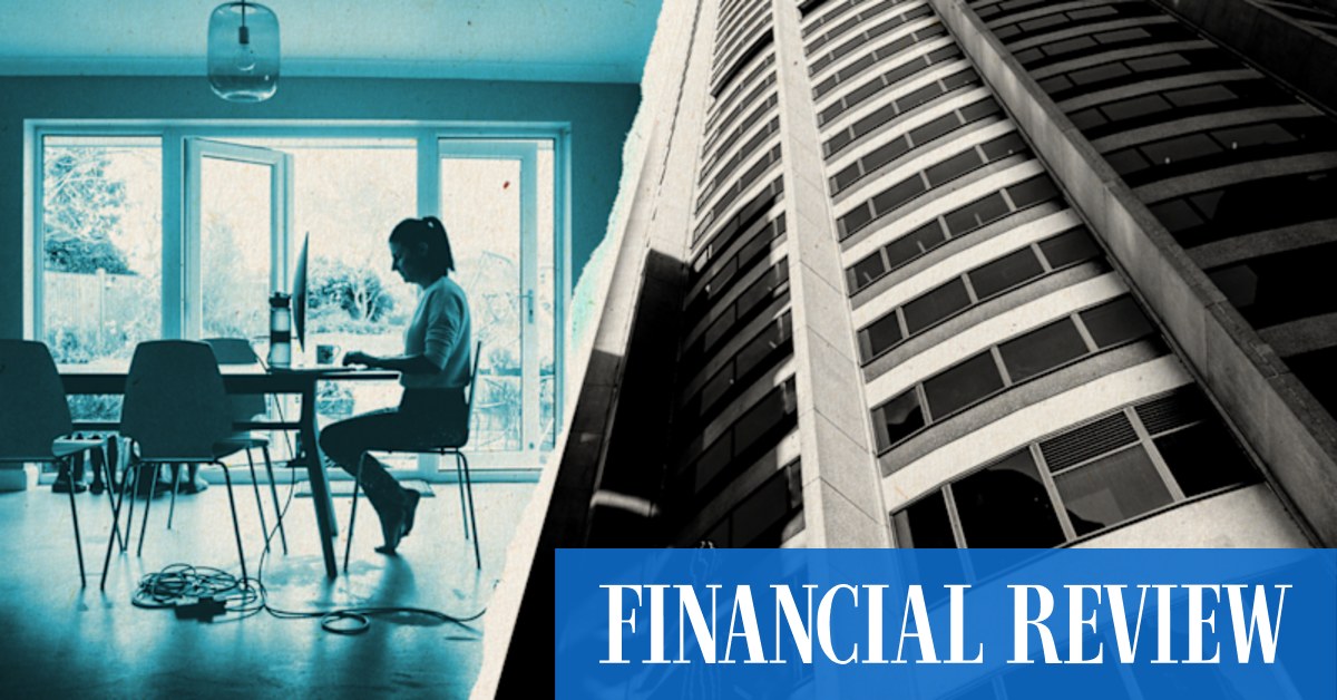 Treehouses, sprouting in the rainforest.