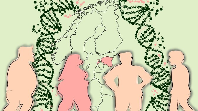 Group of unique gene variants governing Estonians' appetite | News